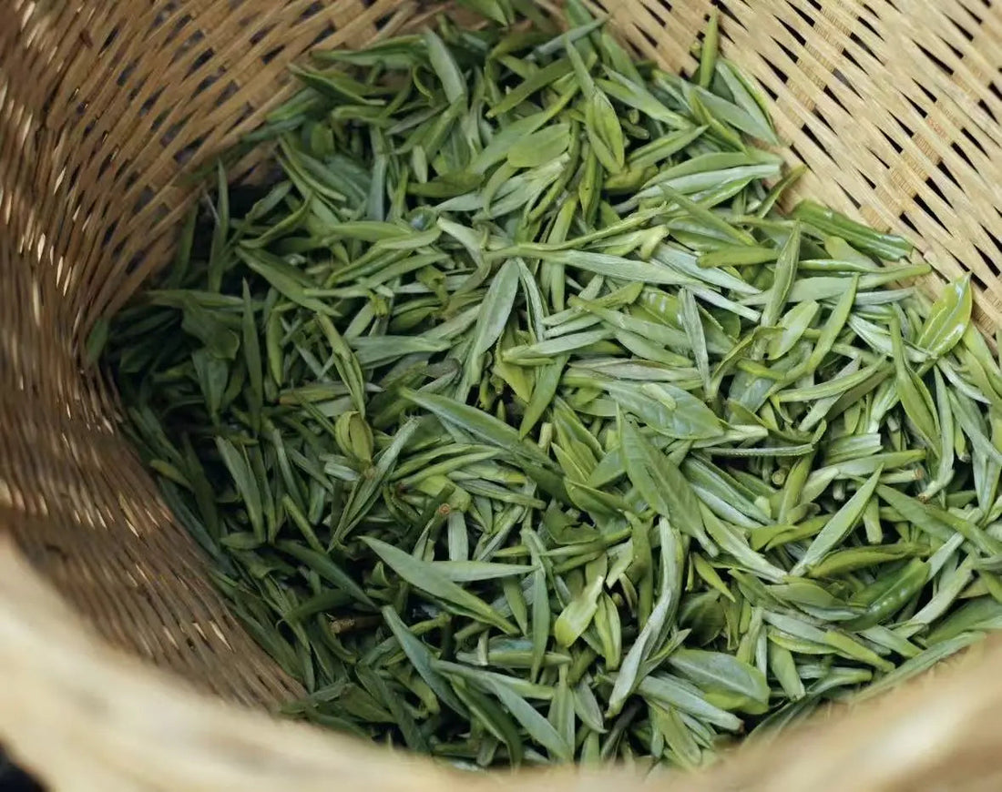 Why Does Tie Guan Yin Have Benefits for Your Body?
