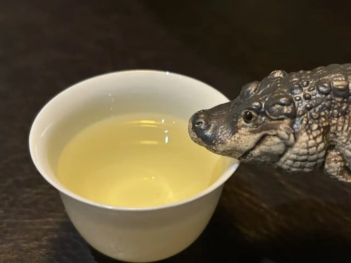 A ceramic white cup filled with pale yellow iron goddess of mercy oolong tea on a dark wooden surface, with a alligator  tea pet figurine leaning against the cup.