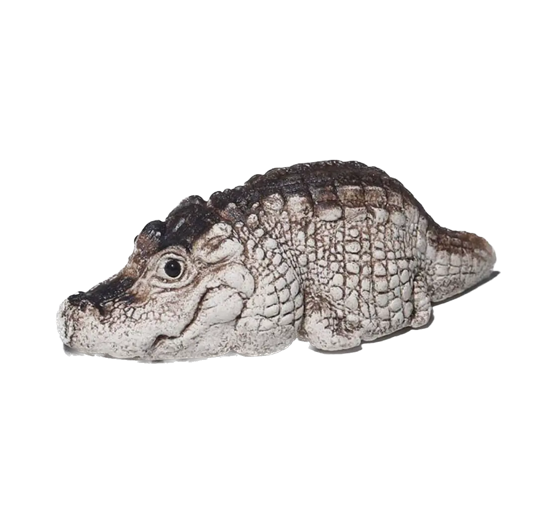 A realistic crocodile tea pet named 'Crodie' with textured scales, shown in profile against a plain white background.