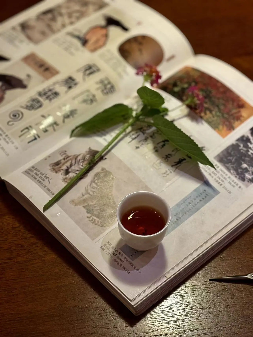 An open vintage-style illustrated book or magazine spread on a wooden table, with a small white cup of Cinnamon Rock tea and a green leafy stem resting across the pages.